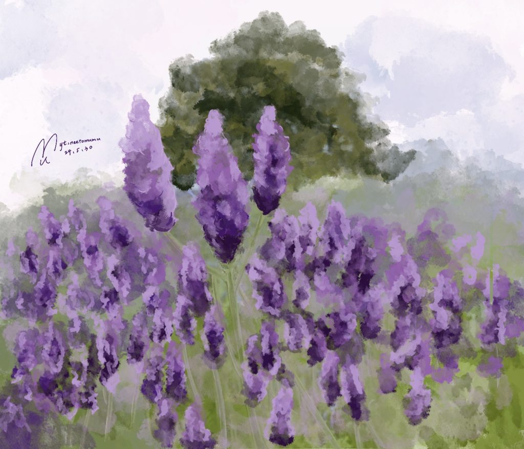 【電繪】薰衣草田一隅